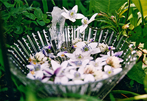 フラワーエッセンスの作り方