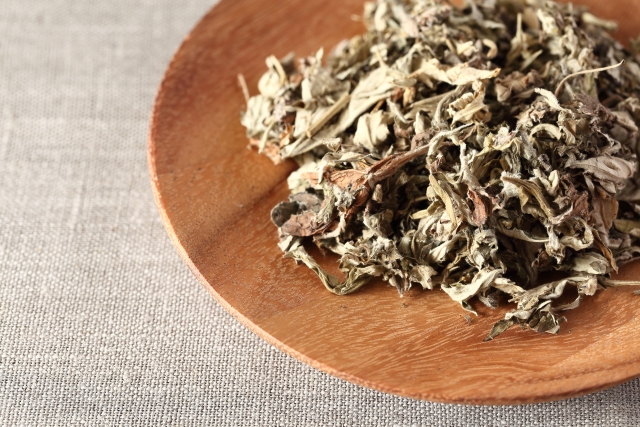 和漢よもぎ蒸し