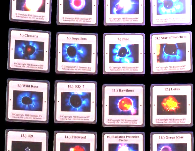 ３００種類のエッセンスのキルリアン写真